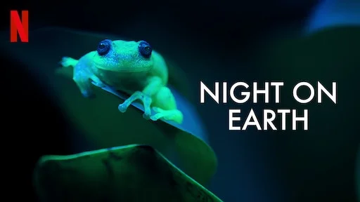 Night On Earth Apžvalga