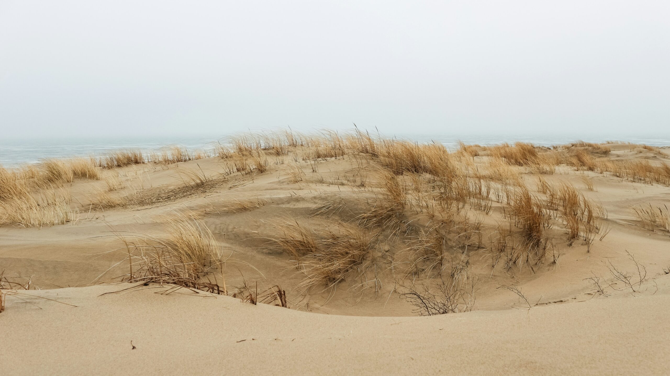 Exploring the Baltic Sea